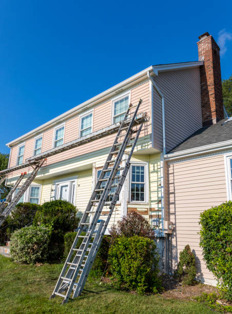 Best Stone Veneer Siding  in Stanton, MI